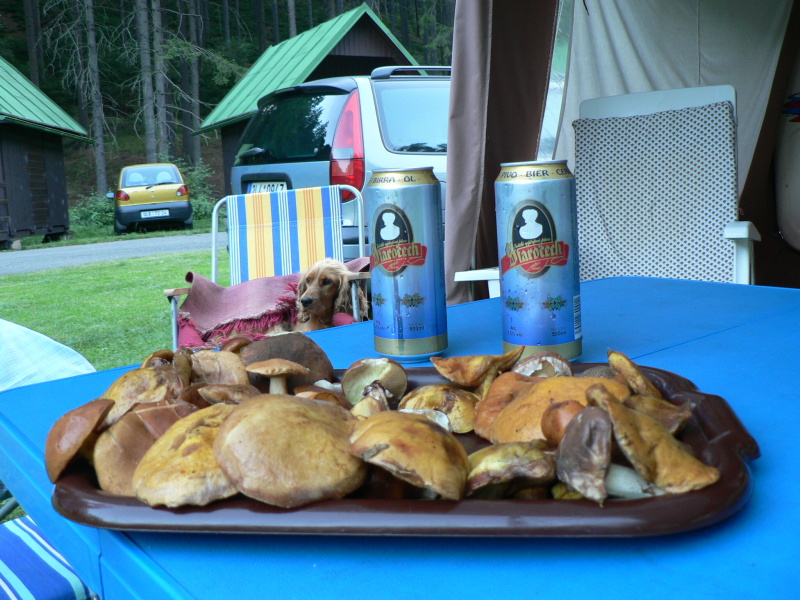ADRSPACH 01 149.JPG
