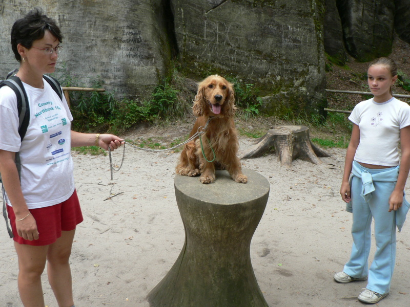 ADRSPACH 01 290.JPG